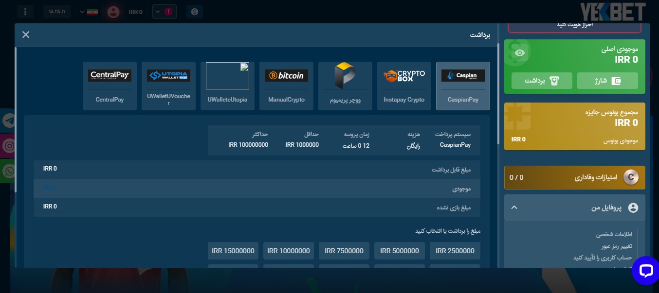 روش های واریز و برداشت در یک بت